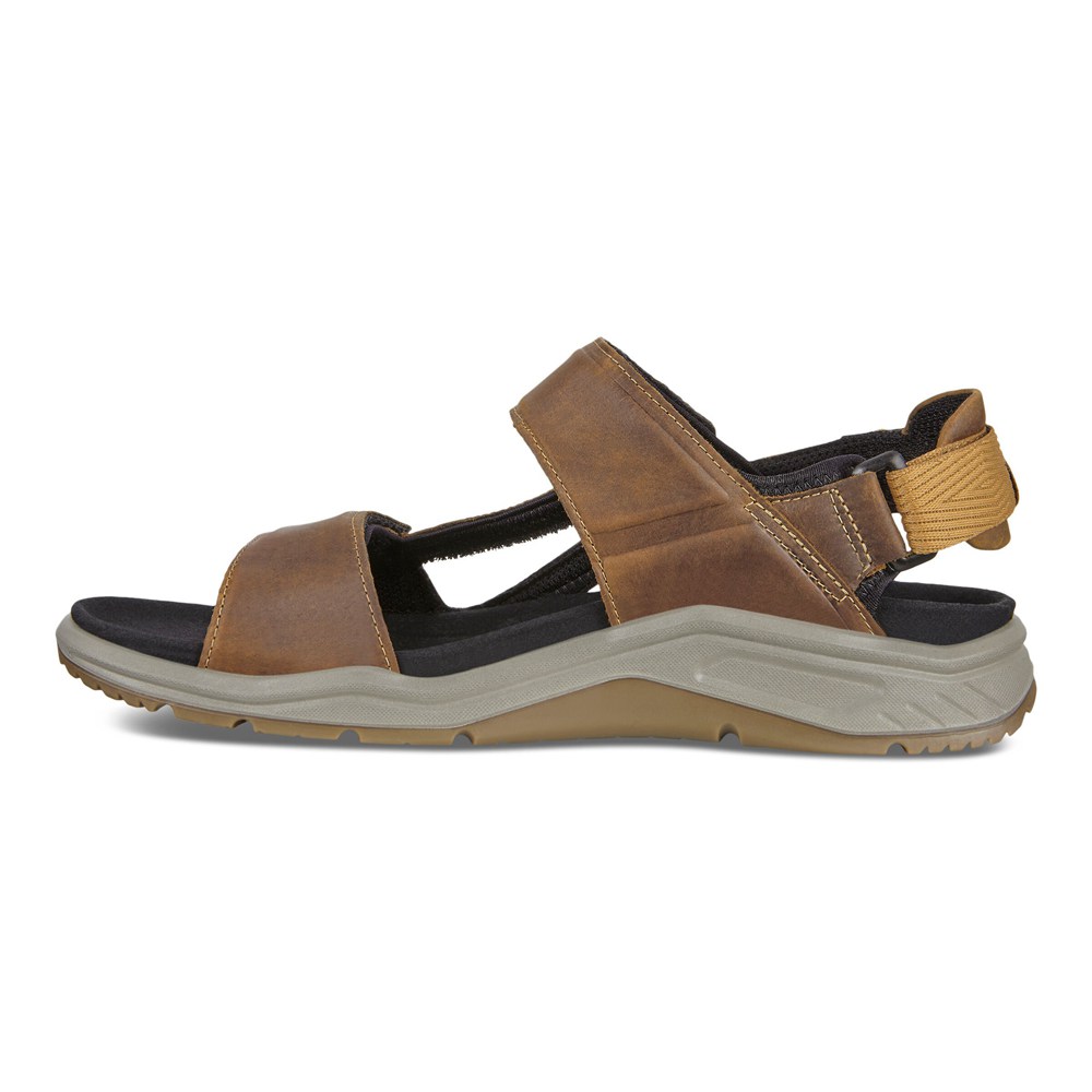 Sandalias Hombre - ECCO X-Trinsic Flat - Marrom - AGM452138